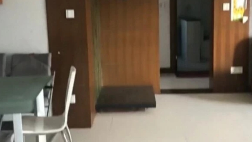 绿城中国发行美元债,王中王管家婆精选二码,多元化方案执行策略_界面版V2.48