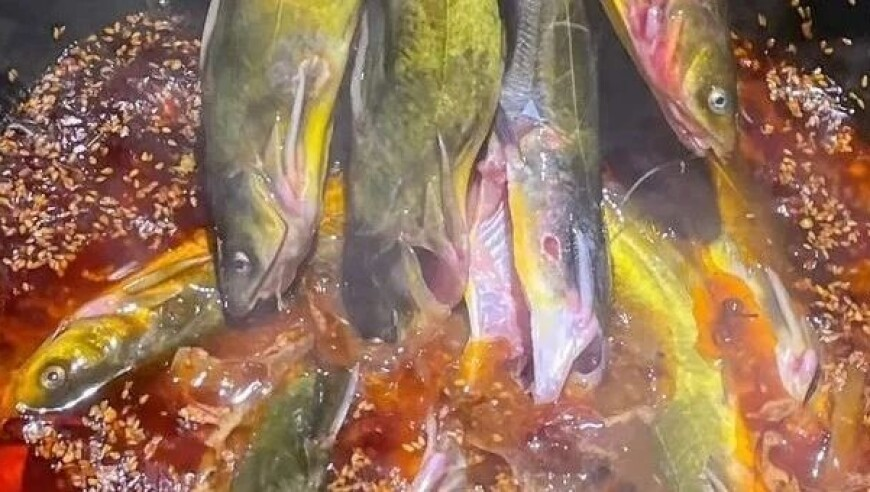 新奥彩今天晚上开奖结果查询表格,哪吒之魔童闹海票房超过星球大战,典故解疑_至尊版V6.96